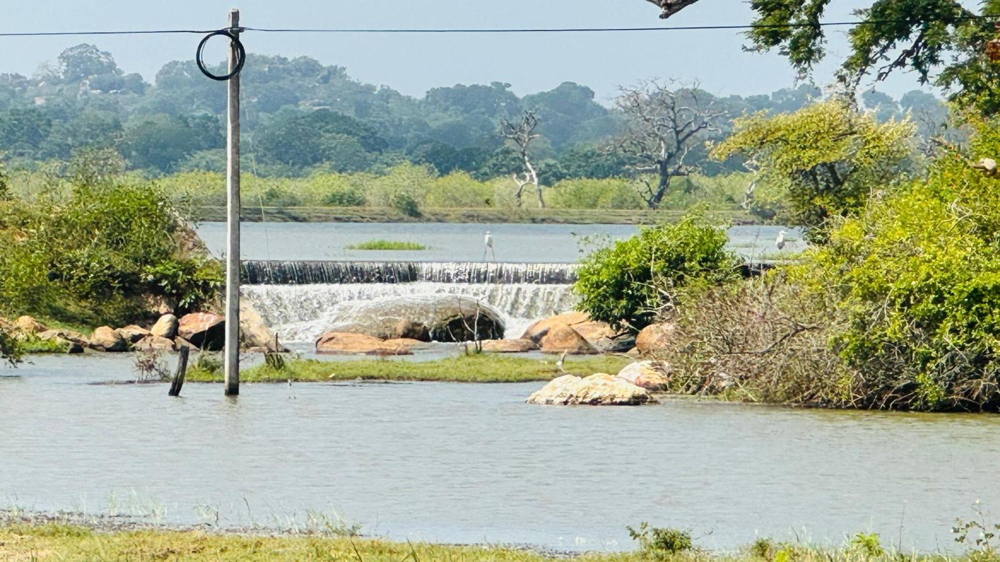 Yala Hotel Lion -Air Conditioned High Luxury Safari Camp Exterior foto